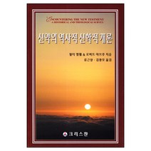 신약의 역사적 신학적 개론 / 현대신학 신학교제 신학생 목회자
