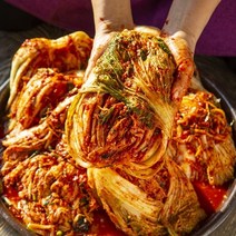 당일 담가 보내드리는 맛있게 매운 습습 실비김치, 5kg