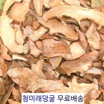 토복령 500g 청미래덩굴 토봉령 망개나무뿌리 망개뿌리 맹감나무뿌리 명감나무 맹감나무 토복령차 망개 만개뿌리 만개나무 명감나무뿌리 청미래덩쿨 토복룡 국내산토복령