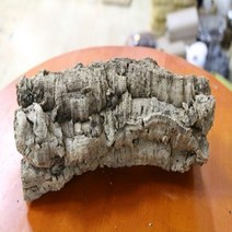 리얼 코르크 튜브 유목 대사이즈 가로 60cm 버전