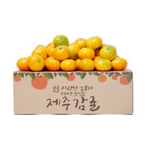 제주 햇 감귤 4.5kg 소과, 상세페이지 참조, 5kg