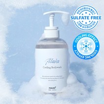 피부미 알래스카 쿨링 바디워시 500ml, 2개