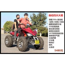 전기 가솔린 사발이 오토바이 입문용 사륜 바이크 4륜 스쿠터 역삼륜 4발 산악용 ATV, 큰 화성 자동