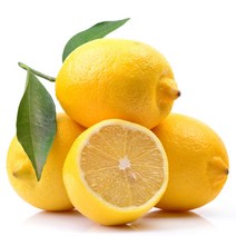 원시인농산 팬시 레몬 15kg내외 대용량 (145과 전후 중소과)