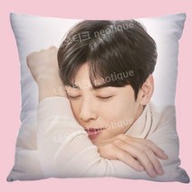 차은추 쿠션 베개 굿즈 아스트로 소품, 부드러운 양털 (베개 포함), 10