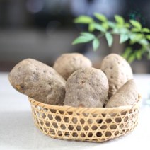 친환경 유기농 열대둥근마 황진이농장 [산지직송] 특품 1kg 2kg 3kg 5kg 10kg, 중품