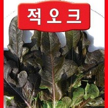 [가람종묘사] 적오크 상추씨앗(비타민이 풍부한 샐러드와 쌈용 채소), 1개