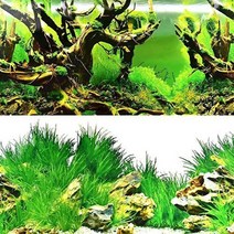 F)수족관 백스크린(10cm단위)-어항배경 그림 시트지, 없음