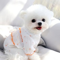 강아지장례 천사 수의 장례 화장 천사옷 꽃가마 고양이수의 매장, 흰색 네발 옷 L백 길이 35cm (7-9캐티 추천)