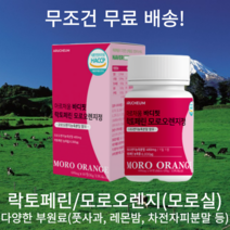 정성홍의 락토페린 모로 오렌지 레몬밤 차전자 저분자 콜라겐 풋사과 추출분말 함유 60정