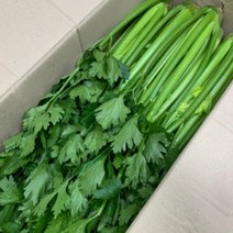[산정] 싱싱한 국내산 샐러리, 국내산 샐러리 3kg, 1박스