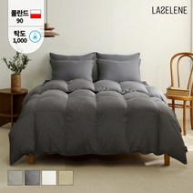 라셀렌 폴란드 다운90% 빌리프 알러지케어 구스이불 Q 850g
