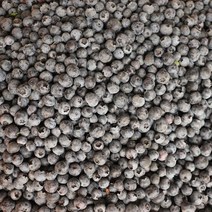 수입 블루베리 햇블루베리 생블루베리 500g 1kg, 푸띠 수입 생블루베리 1kg, 1개