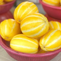 성주 꿀 참외 특급 맛있는 5KG