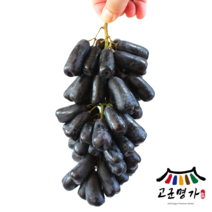 고군명가 과일계의 보석 국내산 블랙 사파이어 포도 1kg 1팩, 1개