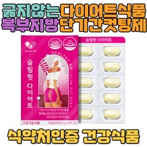 굶지않는다이어트 식품 뱃살 체지방 윗배 똥배 과식 하제 뚱뚱 남자 여자 똥배 아랫배 윗배 빨리 살빼는방법 20대 30대 40대 야식 탄수화물 차단 쾌변 복부지방 가르니시아 식이섬유