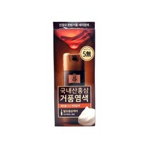 려 진결모 한방거품 새치염색 국내산 홍삼 거품 염색 40g, 1개, 5.0 자연갈색