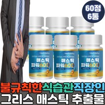 감초 회화나무 열매 추출물 분말 가루 유산균 메스틱검 브로콜리 양배추 곡물 효소 결정셀룰로오스 프락토올리고당 40대 50대 직장인 중년 여성 남성 간편 섭취 매스틱