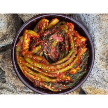 올바른새움푸드 국산 100% 농가수제 돌산 갓김치, 돌산갓김치3kg