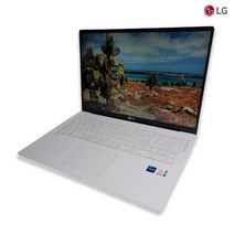 LG 17 gram i5 11TH Iris Xe SSD 768GB 초고화질 대화면 고사양 최신 노트북