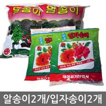 [자연촌] 알송이(2개) 입자송이(2개) 택일 유박 식물영양제 비료 분갈이 알거름 고형비료, 알송이 200g (2개)