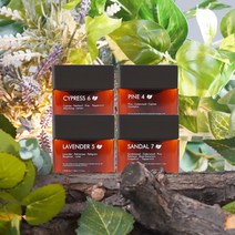 코너 CONER 향기카트리지 4SET 공간향기솔루션 전자 스마트 디퓨저 방향제, 페니레인 4개SET