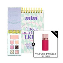 에스쁘아 22 S/S 룩북팔레트 민트체크 + 꾸뛰르 립틴트 벨벳 미니, 22 SS 룩북팔레트 민트체크 세트