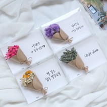 드라이플라워 카드 모음전(+문구)/가로형 엽서/생일 감사 기념일편지 메시지, 문구추가 20자이내, 21. 스타티스(바이올렛)