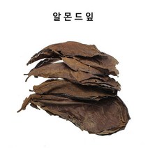 고운물 네츄럴 알몬드잎 5장 (새우가재 베타어항), 1개