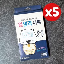 곰탱이 열냉각시트 6매입 X 5개 (총 30매) 열내림 쿨링패치 어린이용