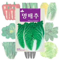 배추 고추 파프리카 씨앗 25종, 엄니봄동 20g
