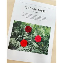 초 미니 카네이션 3구 수제 몰드 (국내 자체 제작) 석고방향제 캔들 비누 핸드메이드 DIY