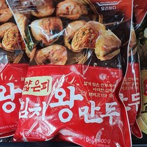 요리하다 얇은피 김치왕만두 900g, 아이스팩 포장