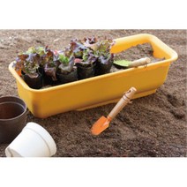 긴사각 좁은곳 도시농부 텃밭가꾸기 베란다 화분 상추기르기 우리집채소 화단만들기, 흙추가하지않음, DAMDDA미니하우스팜 레드 흙추가하지않음