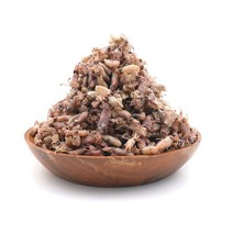 건꼴뚜기 말린 꼴뚜기 1kg 국산 마른 꼴뚜기, 1개