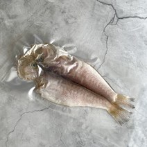 반건조옥돔 (500g이상 5마리) 옥두어 제주 동문시장 우도수산, 500g이상 5마리