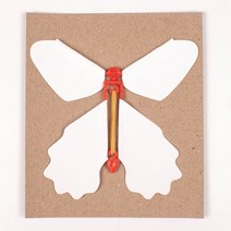 [쥬크박스]_종이요술나비 0CC1, 상세페이지 참조