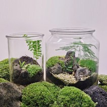 테라리움키트 이끼테라리움 DIY 만들기 피규어증정, 테라리움A