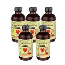 차일드 라이프 [5개 SET] 종합 비타민 & 미네랄 8 Fl.Oz. (237ml) ChildLife Multi Vitamin Mineral Fl Oz, 1개