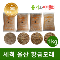 옹기와야생화 세척 울산 황금모래 2호 1kg 자연의색 다육파종