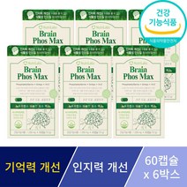 포스파티딜세린 징코 기억력 인지력 개선 은행잎추출물 뇌 두뇌 영양제 수험생 부모님 선물 스트랩증정, 6박스