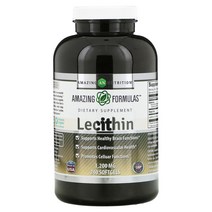 Amazing Nutrition Lecithin 어메이징 뉴트리션 레시틴 1200mg 240 소프트겔, 1개, 소프트젤 240정