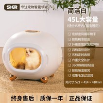 애완동물 드라이룸 반려동물 강아지 고양이 털건조기 초고속, 흰색