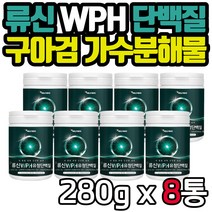 WPH 유청 단백질 쉐이크 류신 프로틴 보충제 분말 가루 파우더 로이신 구아검가수분해물 WPC BCAA 아침대용 필수아미노산 남성 여성 남자 여자 노인 시니어 중장년 선물