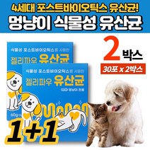 강아지 반려견 고양이 식물성 4세대 유산균 포스트바이오틱스 소형견 중형견 대형견 새끼강아지 노령견 노견 장 면역 체중 알러지 관리 식이섬유, 2박스