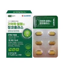 기억력 감퇴 혈행엔 징코플러스 뇌 영양제 은행잎 추출 1개월분 징코프러스