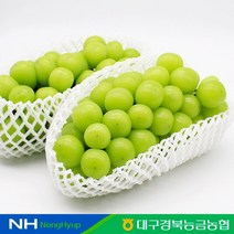 팜스토리 [대구경북능금농협] 영천 샤인머스켓 1.5kg(2~3수) 공유하기 페이스북 트위터 닫기