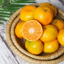 새콤달콤 제주 노지 감귤 4.5kg(2S)