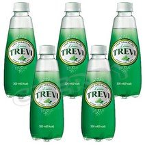 롯데 트레비 라임 300ml x 20개(pet), 상세페이지 참조