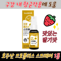 어린이 유아 키즈 비염에 좋은 영양제 목에 뿌리는 프로폴리스 스프레이 30ml, 1개